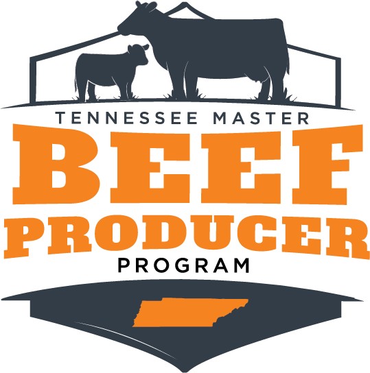 Tennessee Master Beef Producer Program Logo