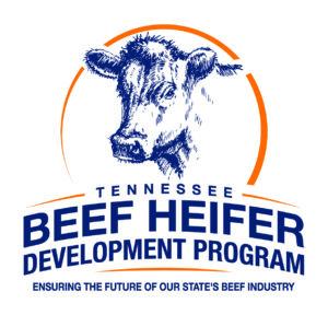 Tennessee Beef Heifer Development Program Logo Color