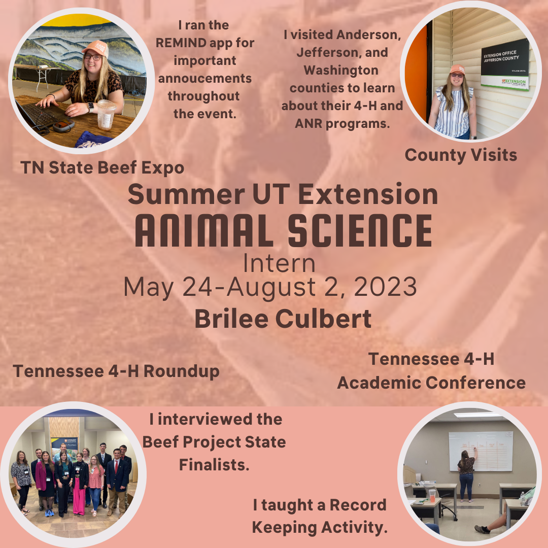 Culbert -Summer UT Extension Animal Science Intern Overview