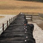 Herd