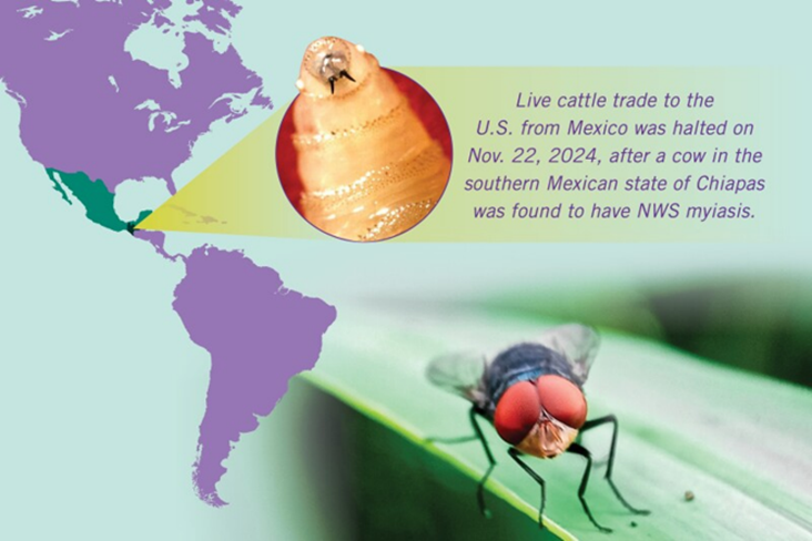 USDA-APHIS and CDC