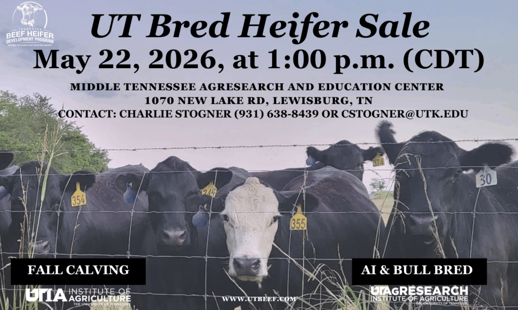 2026 HDC sale banner