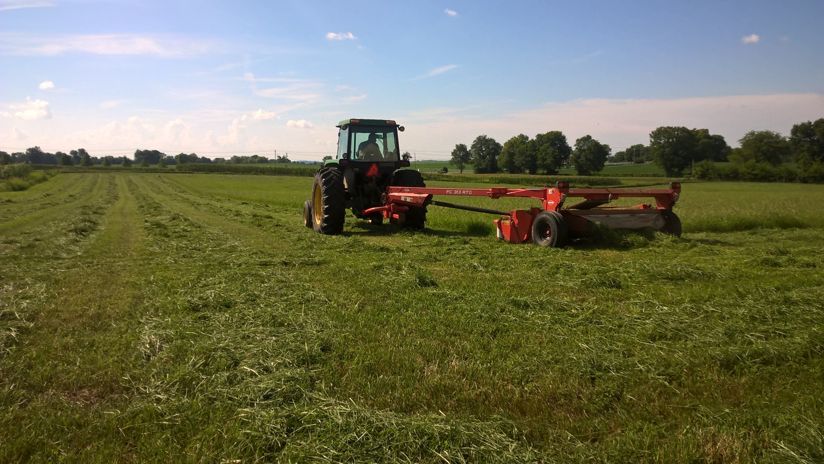 Laying down for harvest